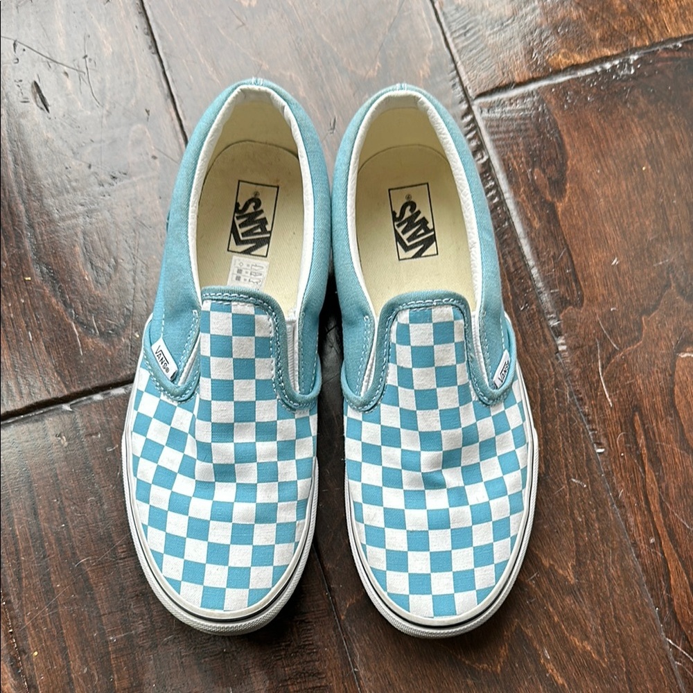 Vans Blue Checkered Slip-On Shoes
